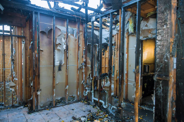 Professional Soot Cleanup technician working in Magnolia, OH